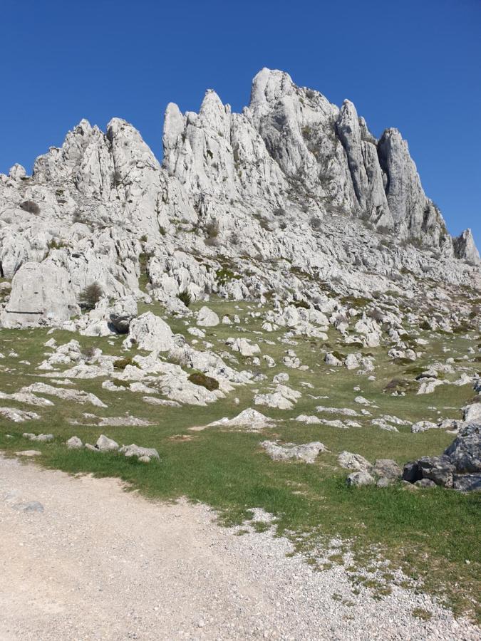 Apartmani Rudi Anić Kültér fotó